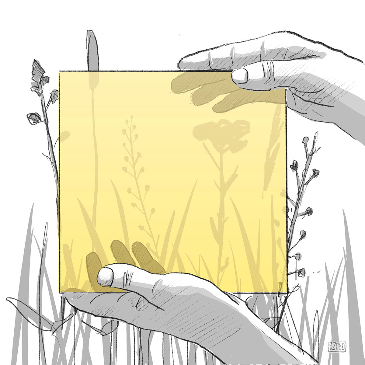 illustrative Darstellung eines  gelben KNUMOX Musters.