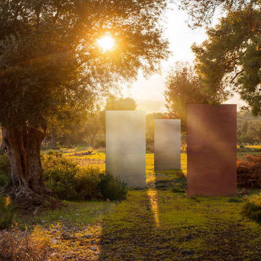 Drei beige-braune KNUMOX Glasdesign Elemente stehen neben einem alten Baum auf einer Wiese in der Abendsonne.  