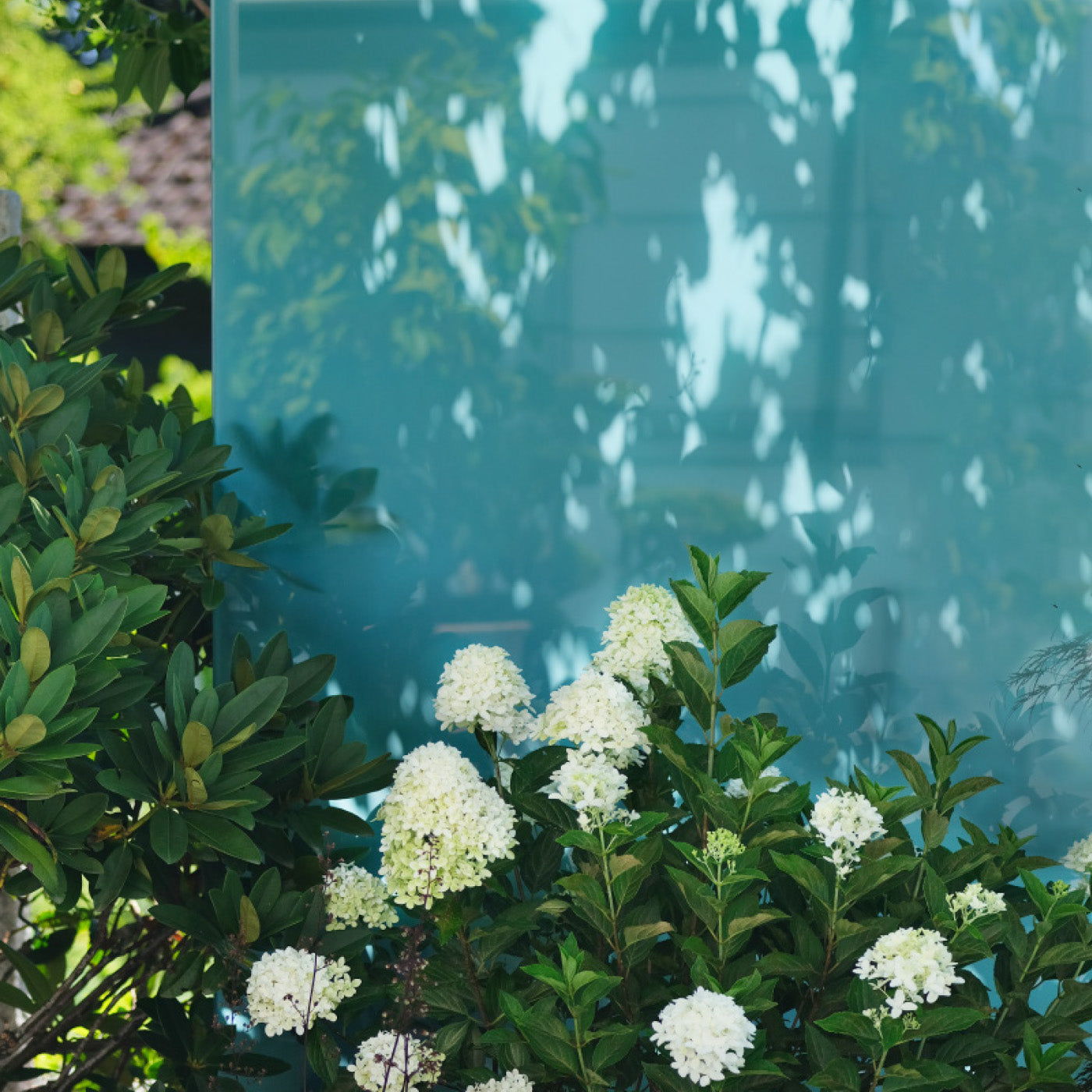 Ein blaues Sichtschutz Designelement aus Glas steht hinter einer Pflanze mit weißen Blüten, auf dem Glas ist Licht- und Schattenspiel zu sehen.
