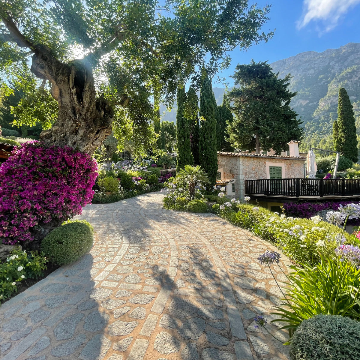 Garten von Jardins de Tramuntana auf Mallorca im Tramuntana Gebirge.