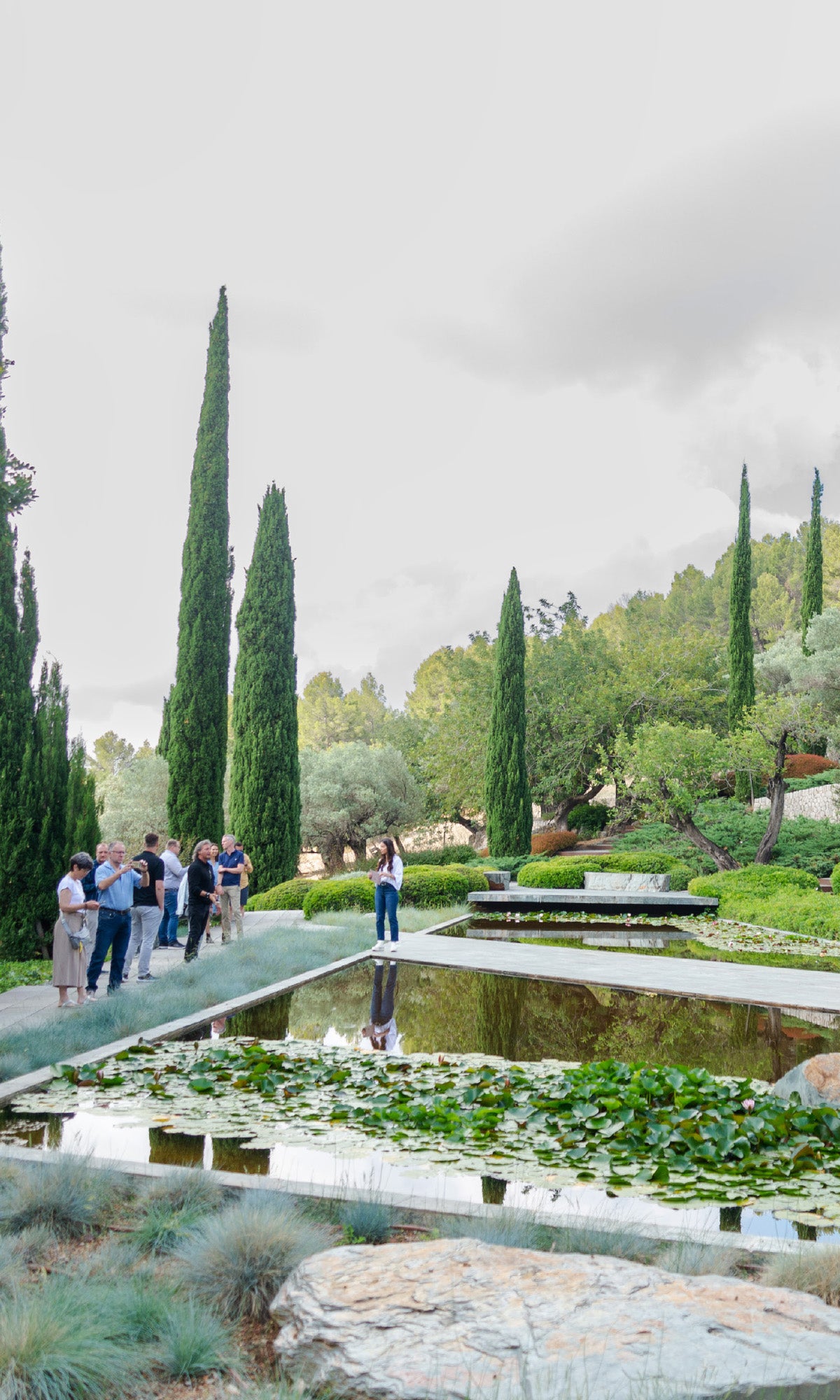 Die KNUMOX Community besucht einen exklusiven Privatgarten auf Mallorca. Wasser, Zypressen und alte Olivenbäume sind zu sehen.